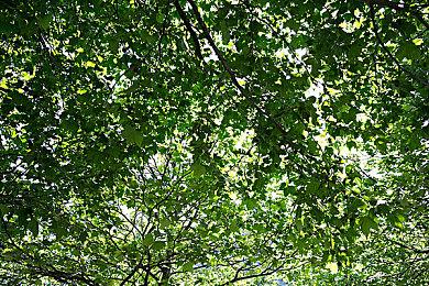 战略塔防肉鸽游戏《以太站的陷落》已推出试玩Demo 7月25日正式推出